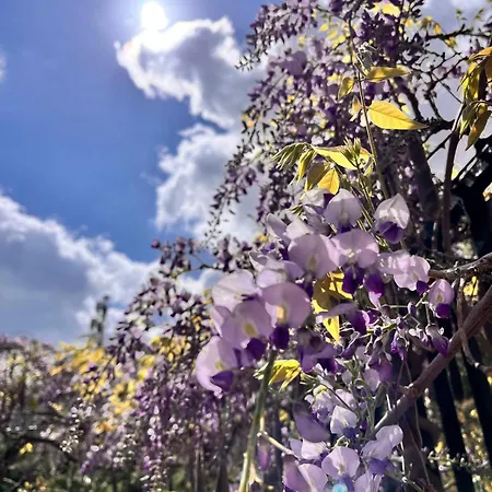 Bed & Breakfast La Panoramica